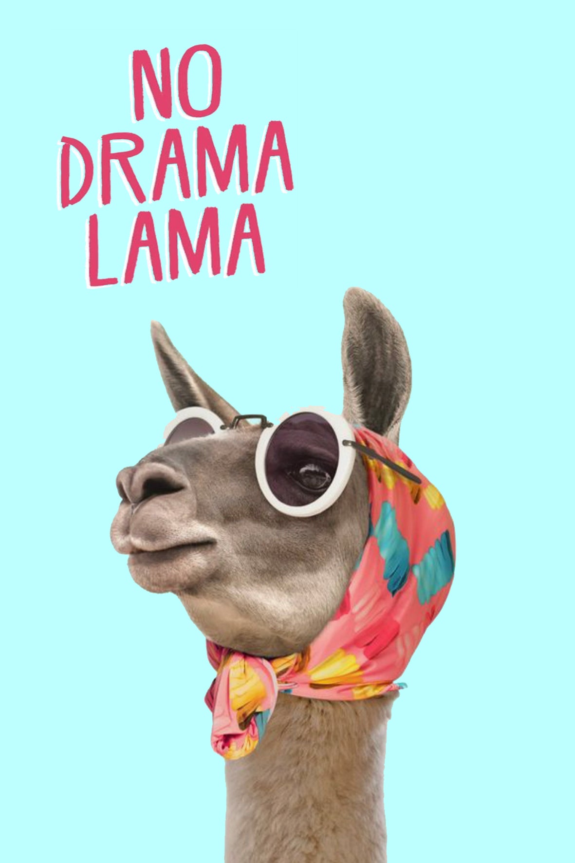No drama lama